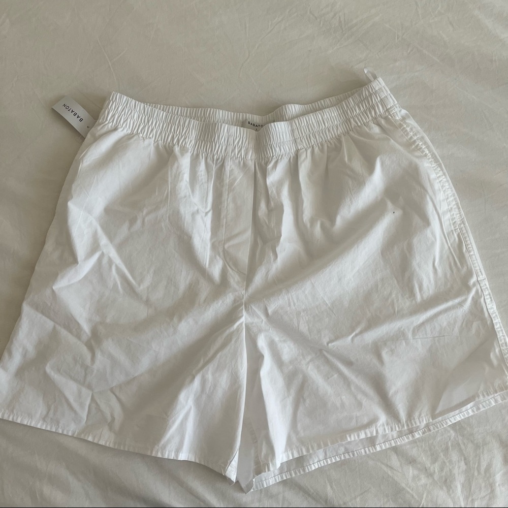 Aritzia Babaton Shorts
